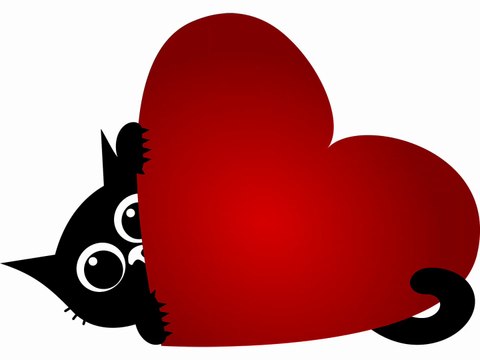 SERDAR ŞİMŞEK KARA KEDİ MÜZİKLİ KOMİK KARİKATÜR