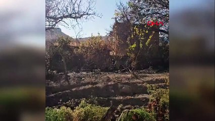 Bahçesindeki otları yakarken alevlerin arasında kalıp öldü