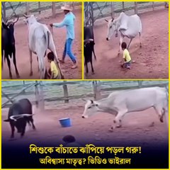 অবিশ্বাস্য! 😱 শিশুকে বাঁচাতে ঝাঁপিয়ে পড়ল Cow! | পশুর মাতৃত্বের সেই Moment | Shocking Animal Instinct | Jana Ojana Update News