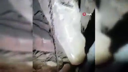 Zengin olma hayalleri suya düştü