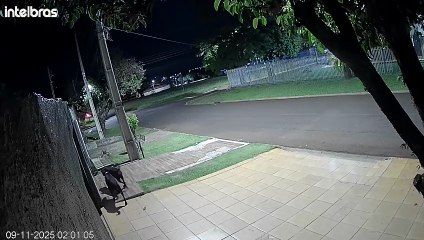 Ouça os tiros: Câmera registra sons de disparos contra rottweiler que deixou pânico e vítima no Coqueiral
