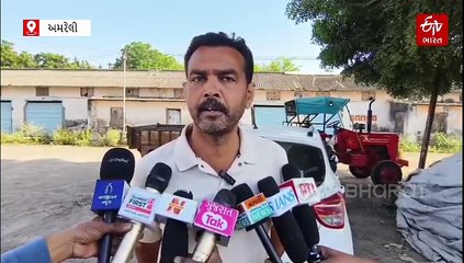 અમરેલીમાં 5 કેન્દ્રો પર ટેકાના ભાવે મગફળીની ખરીદી, ખેડૂતોએ પહેલા જ દિવસે કેમ હોબાળો કર્યો?