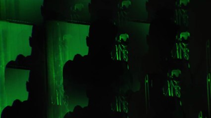 Skomorohi – Echo's Echo