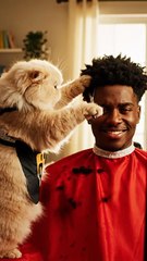 Cat Barber Giving Haircut to a Boy 💈🐱 | Funniest Cat Video 2025 | Cute Animal Comedy