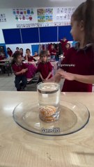 Su dolu kaptaki mandalinayı suyu taşırmadan çıkartmalarını isteyen öğretmenin, çocuklara pragmatik çözümler bulmaya yönlendirmesi