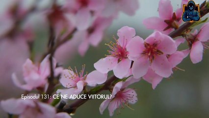 Iubire cu parfum de lavanda Sezon 3 Episodul 9 din 7 Noiembrie 2025 Online Gratis pe Internet, Antena Play Gratis