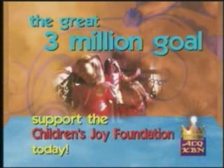 Support The Children's Joy Foundation, INC