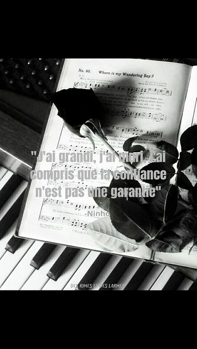 Citation de ninho