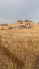 Turkish military plane crashes in Georgia