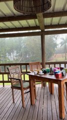 LES IMMENSES PLANTATIONS de thé à Bois Chéri