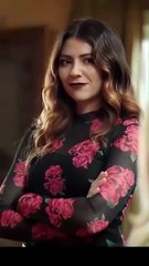 Vampire's Remedy DS Full Movie