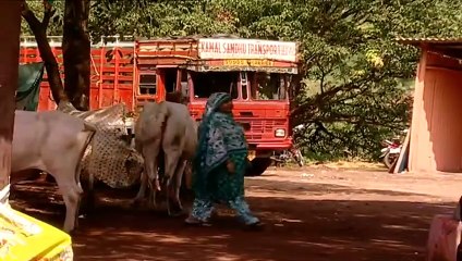 مسلسل غيث الجزء الرابع الحلقة 27