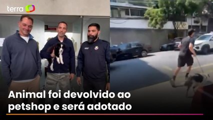 Cachorro levado de petshop por homem é recuperado após um dia de buscas: ‘Baião de Dois resgatado’