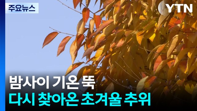 [날씨] 밤사이 기온 뚝, 초겨울 추위...낮에도 종일 쌀쌀 / YTN
