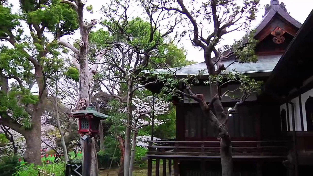 Irezumi: The Japanese Art of Tattooing   ( English version )