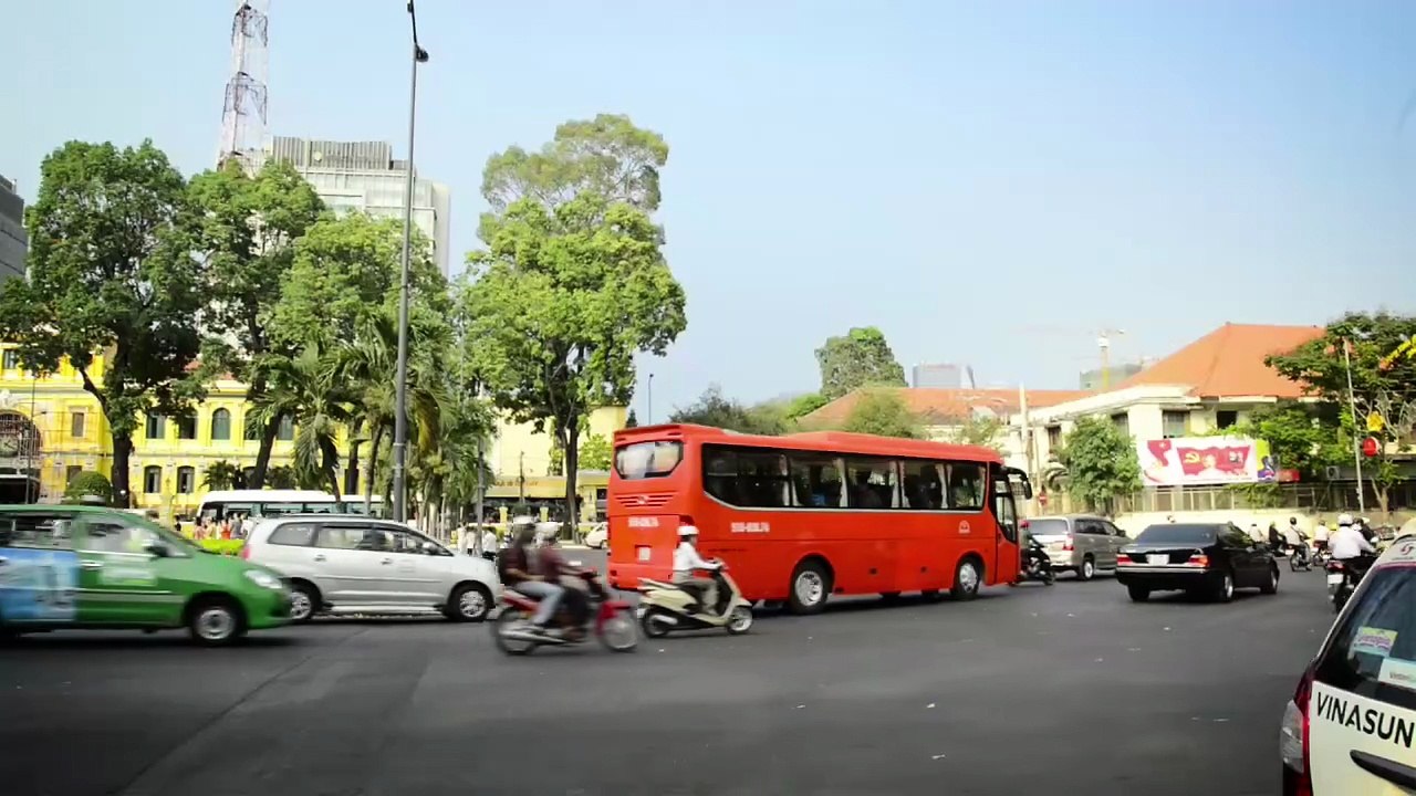 The Art of Viet Vo Dao ( English version )