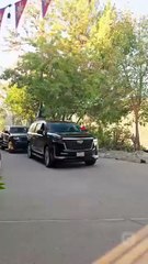 Betrayed Alpha Queen Rises from the Ashes USA #ReelShort