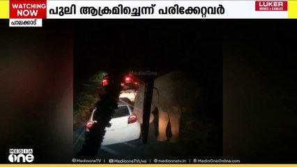 അടപ്പാടിയിൽ വന്യജീവി ആക്രമണത്തിൽ 2 പേർക്ക് പരിക്ക്, ചാലക്കുടി - മലക്കപ്പാറയിൽ കാട്ടാന ആക്രമണം