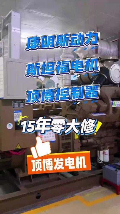 Dingbo Generators Zero Major Overhauls in 15 Years