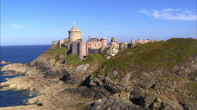 Des racines et des ailes