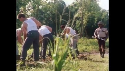 "Body Count" Starring Brigitte Nielsen, Sonny Chiba, Robert Davi and Steven Bauer