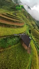 Sapa Vietnam | The Most Beautiful Mountain Town in Vietnam