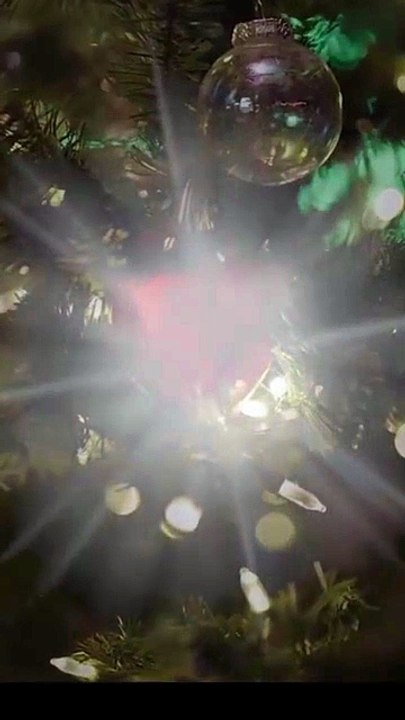 Oops! I Married My Forgetful Ex-Boyfriend Full Movie GS