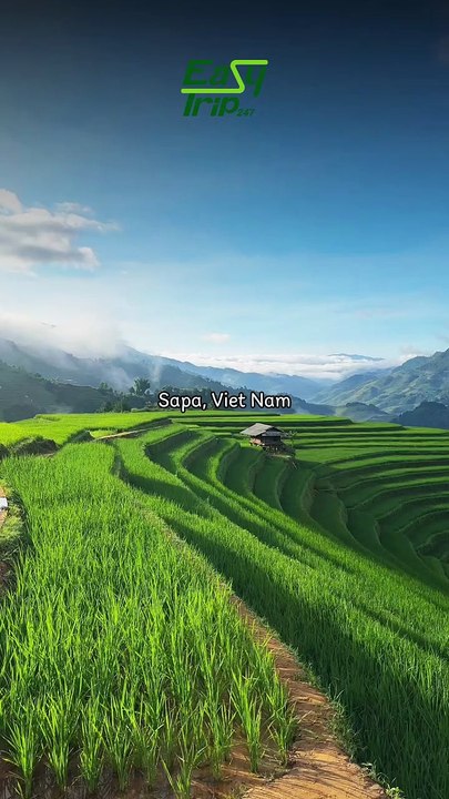 Sapa Vietnam | Cinematic Drone View of the Northern Highlands