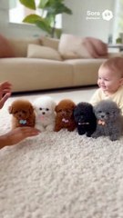 Baby and Dog ! #shorts #youtubeshorts #baby #dog #babyanddog #dogandbaby #smile