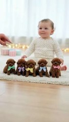 Baby and Dog ! #shorts #youtubeshorts #baby #dog #babyanddog #dogandbaby #smile