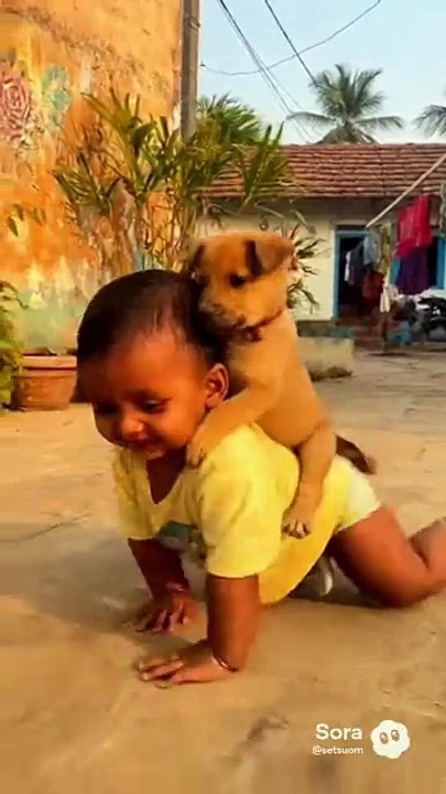 Baby and Dog ! #shorts #youtubeshorts #baby #dog #babyanddog #dogandbaby #smile
