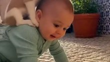 Baby and Dog ! #shorts #youtubeshorts #baby #dog #babyanddog #dogandbaby #smile