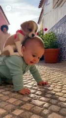 Baby and Dog ! #shorts #youtubeshorts #baby #dog #babyanddog #dogandbaby #smile