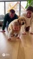 Baby and Dog ! #shorts #youtubeshorts #baby #dog #babyanddog #dogandbaby #smile