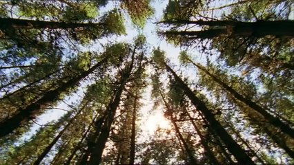 parque prehistorico dino pajaro Episodio3 español latino