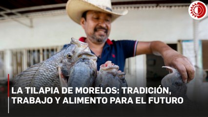 En Xochitepec, Morelos, la tilapia es más que un alimento: es una tradición familiar