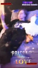 🧡🍏 🔥 Prisionera del amor (Dramawave) Español Doblado