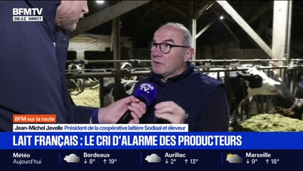 Les producteurs laitiers français appellent les consommateurs "à regarder les étiquettes" pour soutenir la filière face à la concurrence