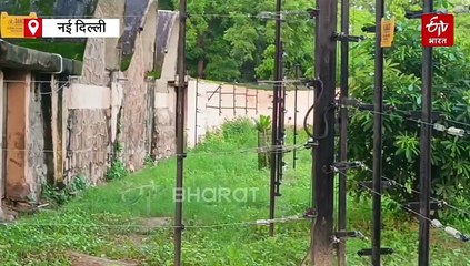 मौसम बदलते ही बदली दिल्ली चिड़ियाघर के जानवरों की डाइट, जानिए हाथी-बंदरों के डाइट प्लान