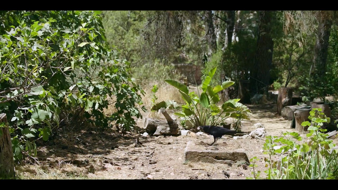 EIN HAUS IN JERUSALEM Film