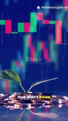 Crypto Bloodbath: Treasury Bags Slashed in Seconds