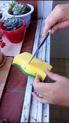 Sai lầm chết người: Bạn lau rãnh cửa sổ kiểu cũ, bụi "trở lại" gấp 3 lần? 😱 💭 Bọt biển cứu cánh 5s – nhưng 7 bí kíp rẻ hơn, sâu sạch hơn đang "ẩn náu" chờ bạn! 🔍 Sai lầm lớn nhất của bạn là gì? Comment "fight back" đi! 👊🤓