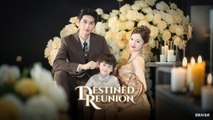 (Dubbed) Reunion Destined full movie