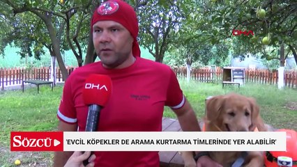 'Evcil köpekler de arama kurtarma timlerinde yer alabilir'