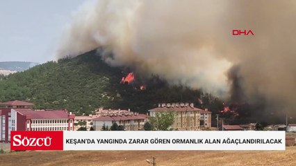 Keşan’da yangında zarar gören ormanlık alan ağaçlandırılacak