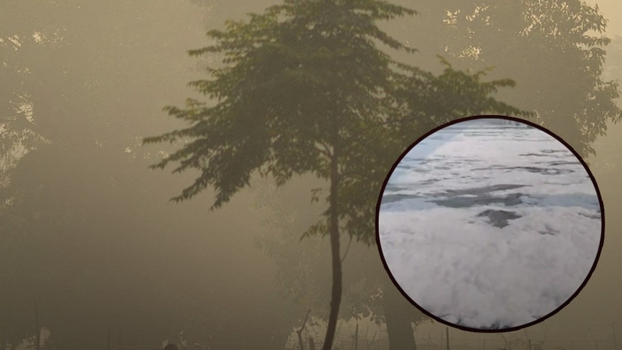 Delhi Pollution: खराब AQI, यमुना में दिखा toxic...
