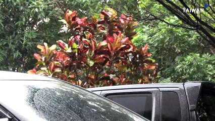 Typhoon Fung Wong Heads for Taiwan After Slamming Philippines