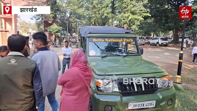 नक्सली इलाकों में आदिवासी लड़कियां बन रही हैं टूरिस्ट गाइड, लोगों को दे रहीं जंगल और बाघ के बारे में जानकारी