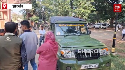 नक्सली इलाकों में आदिवासी लड़कियां बन रही हैं टूरिस्ट गाइड, लोगों को दे रहीं जंगल और बाघ के बारे में जानकारी