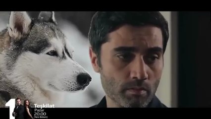 Teşkilat 157. Bölüm Fragman